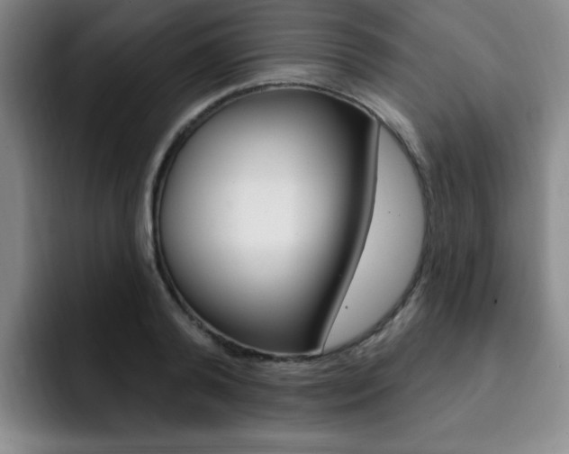 X0000093090792200709260908