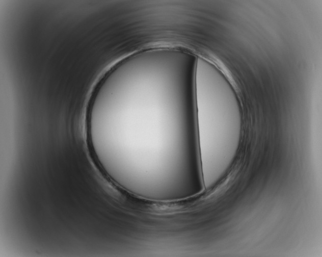 X0000093090795200709260908