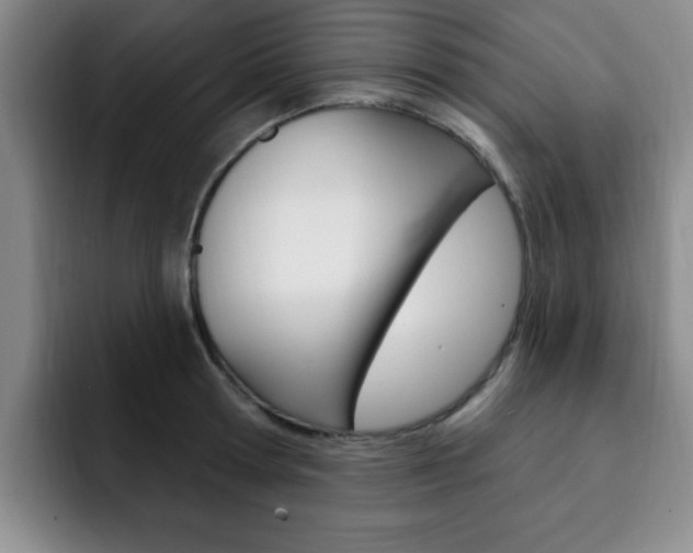 X0000093090802200709260908