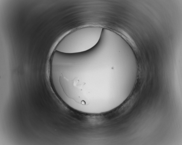 X0000093090804200709260908
