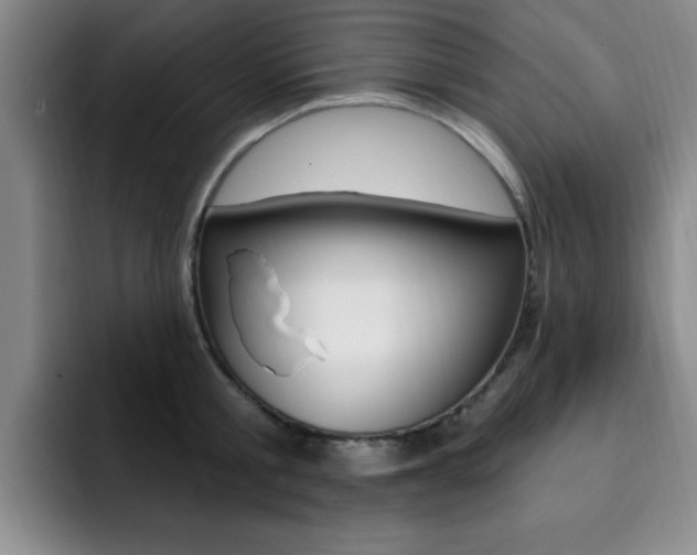X0000093090805200709260908