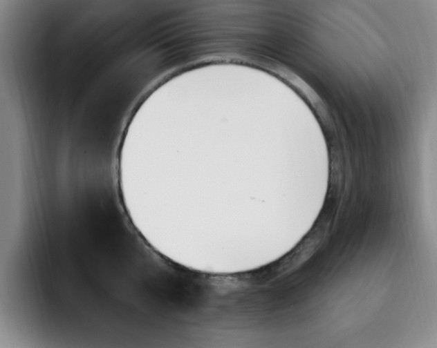 X0000093090807200709260908