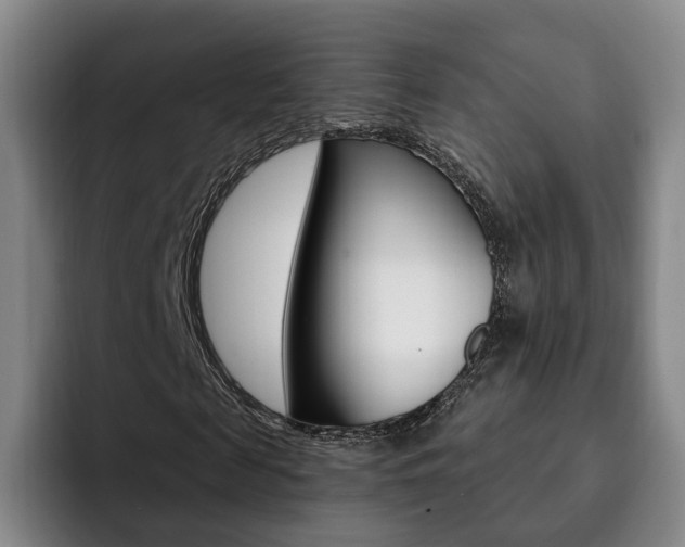 X0000093090817200709260907