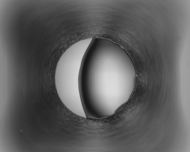 X0000093090818200709260907