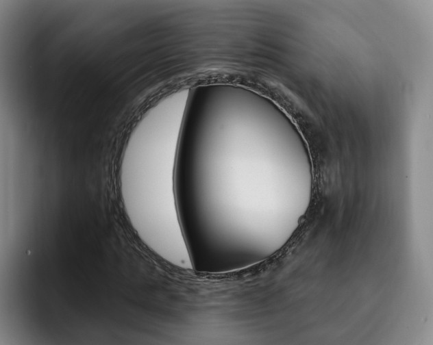 X0000093090821200709260907