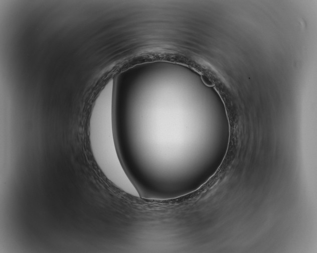 X0000093090822200709260907