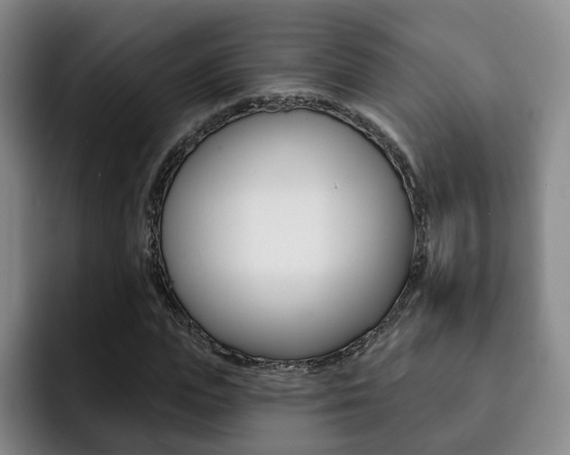 X0000093090823200709260907