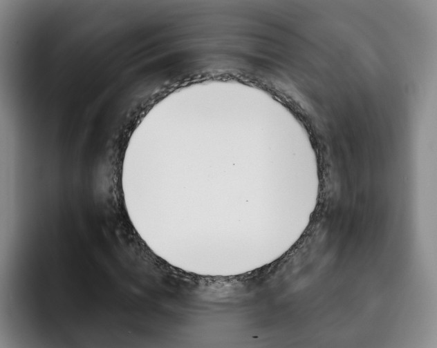 X0000093090824200709260907