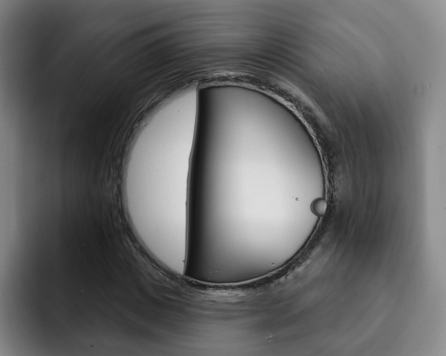 X0000093090825200709260907