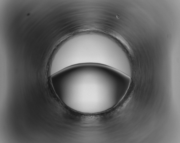 X0000093090826200709260907