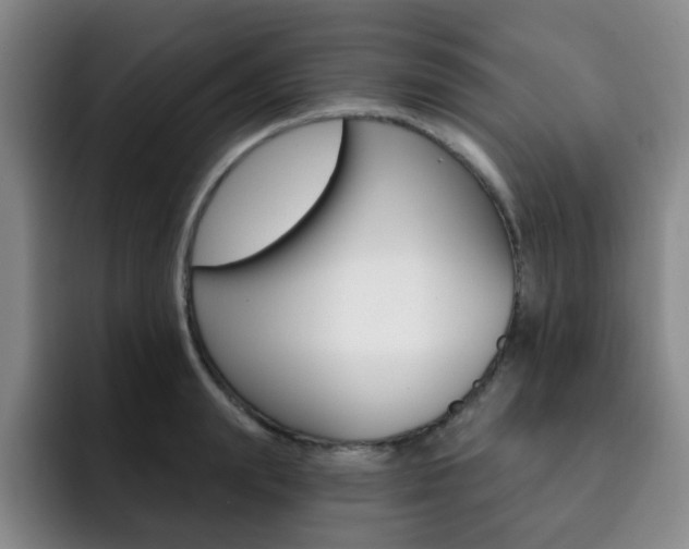 X0000093090847200709260908
