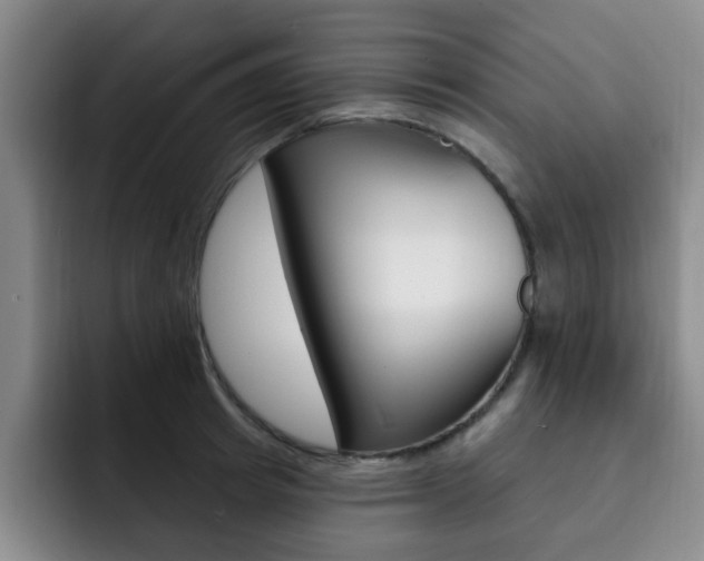 X0000093090849200709260908