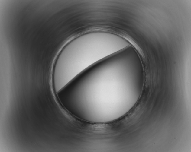 X0000093090853200709260908