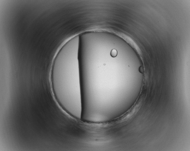 X0000093090855200709260908