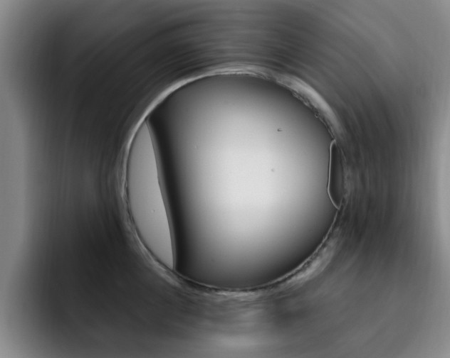 X0000093090860200709260908