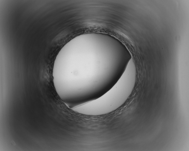 X0000093090869200709260907