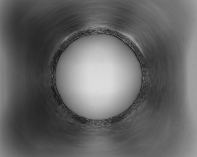 X0000093090871200709260907