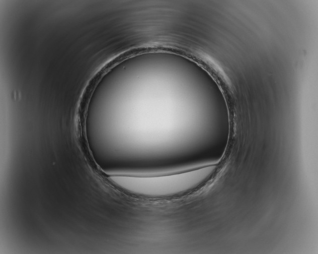 X0000093090876200709260907