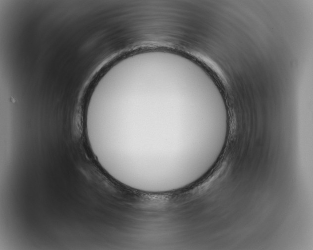X0000093090878200709260907