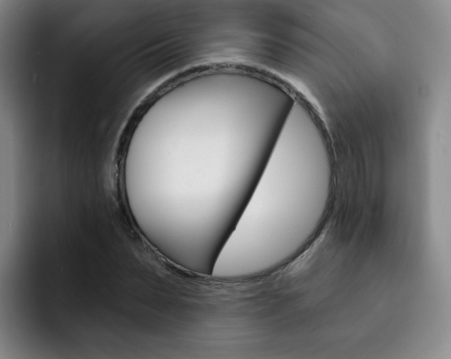 X0000093090879200709260907