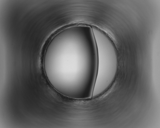 X0000093090880200709260907