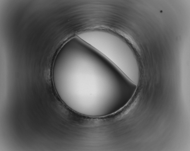 X0000093090881200709260907