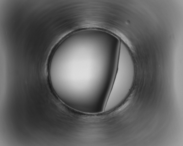 X0000093090885200709260907