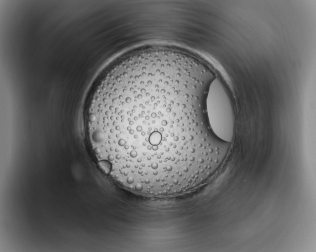 X0000093090887200709260907