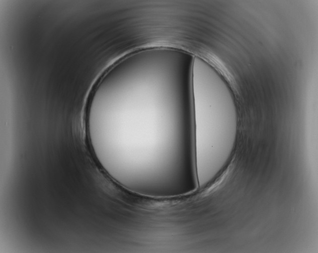 X0000093090892200709260907