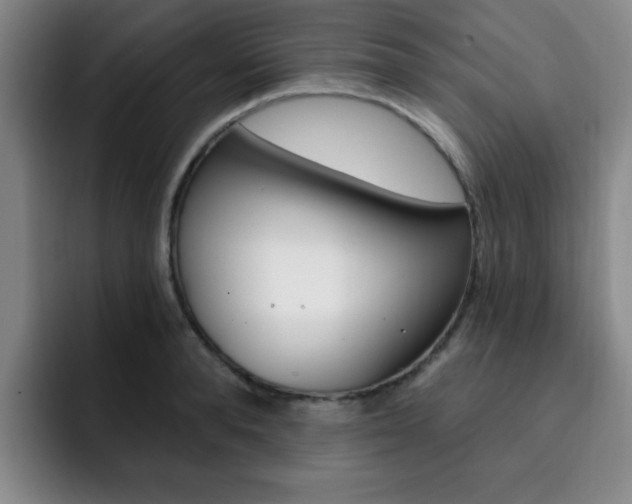X0000093090896200709260907