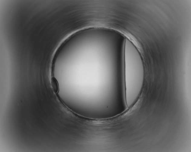 X0000093090904200709260907