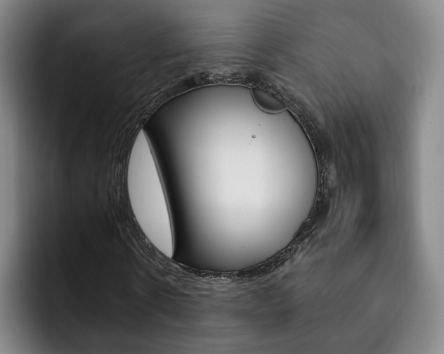 X0000093090914200709260906