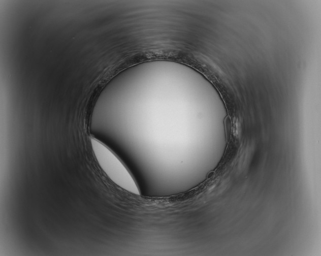 X0000093090915200709260906