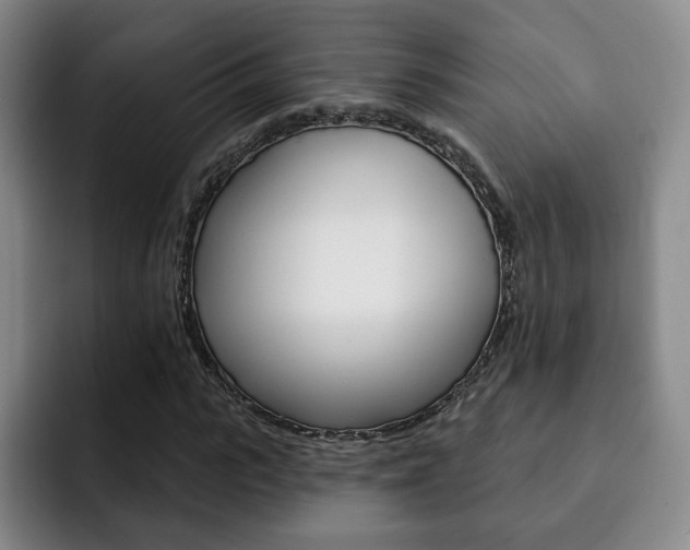 X0000093090919200709260906