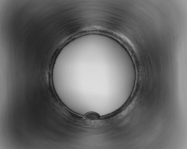 X0000093090921200709260906