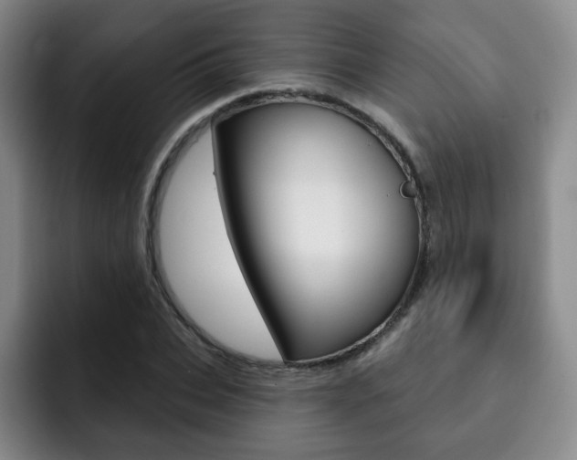 X0000093090927200709260906