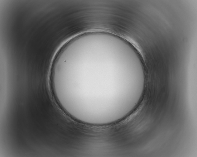 X0000093090928200709260906
