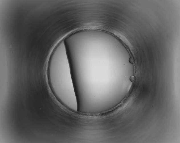 X0000093090941200709260906