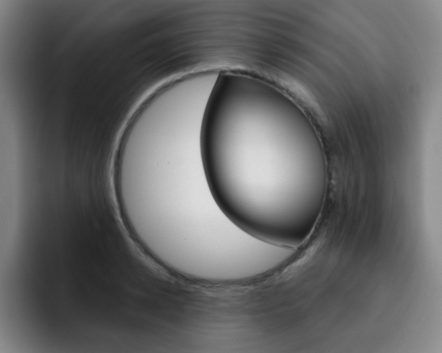 X0000093090942200709260906