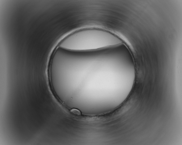 X0000093090943200709260906