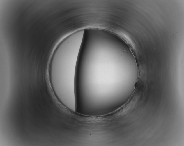 X0000093090952200709260906