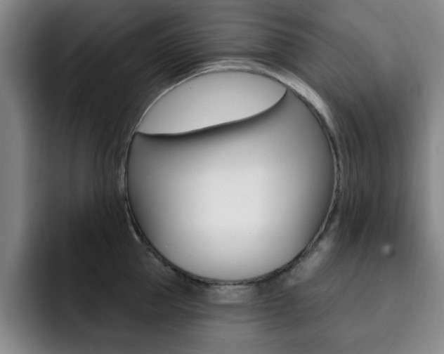 X0000093090953200709260906