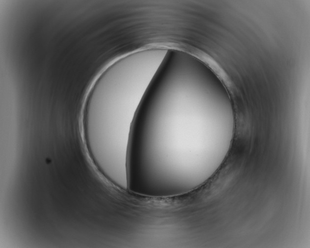 X0000093090955200709260906