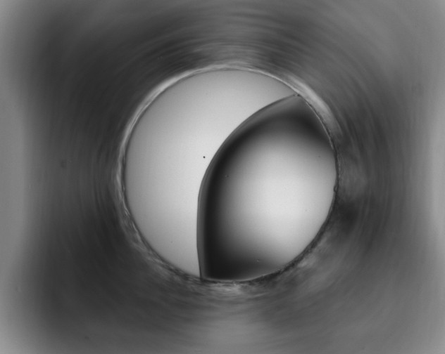 X0000093090956200709260906
