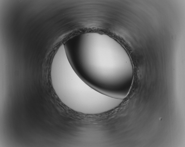 X0000093090968200709260906