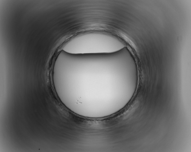 X0000093090970200709260906