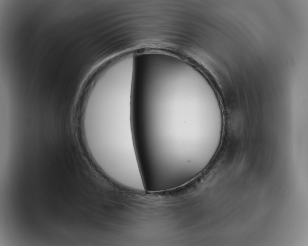 X0000093090971200709260906