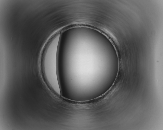 X0000093090976200709260906