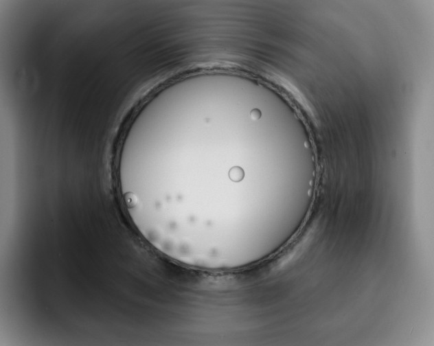 X0000093090978200709260906