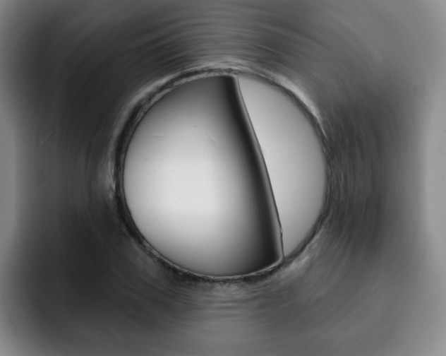 X0000093090979200709260906